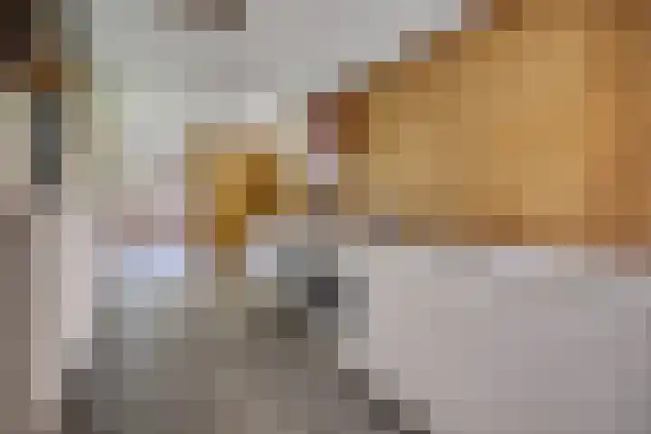 Brink 8 Tynaarlo thumbnail 16