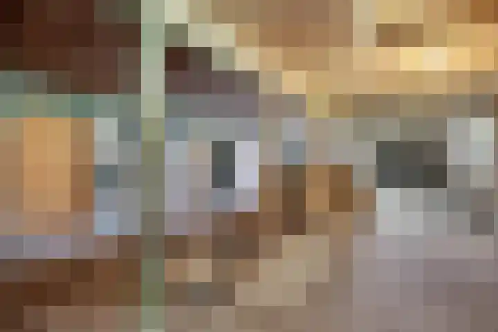 Brink 8 Tynaarlo thumbnail 17