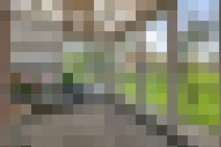 Brink 8 Tynaarlo thumbnail 20