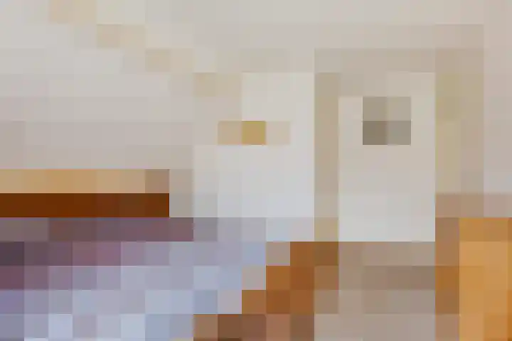 Brink 8 Tynaarlo thumbnail 26