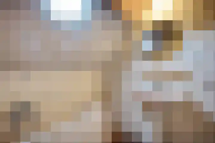 Brink 8 Tynaarlo thumbnail 30