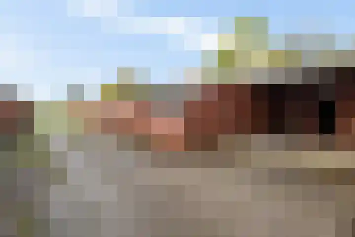 Brink 8 Tynaarlo thumbnail 31