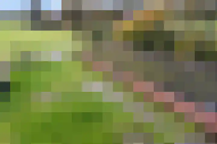 Brink 8 Tynaarlo thumbnail 34
