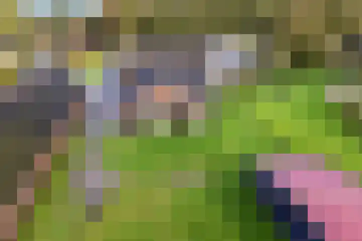 Brink 8 Tynaarlo thumbnail 35