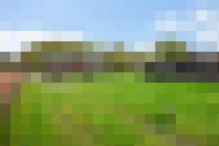 Brink 8 Tynaarlo thumbnail 36