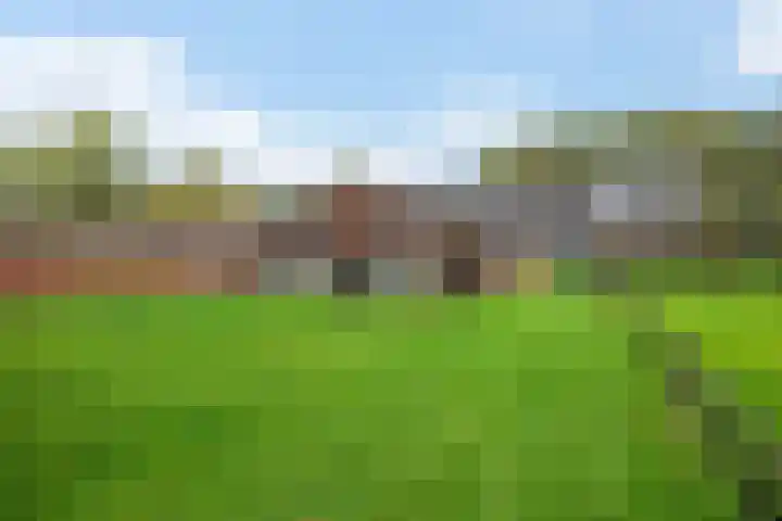 Brink 8 Tynaarlo thumbnail 37