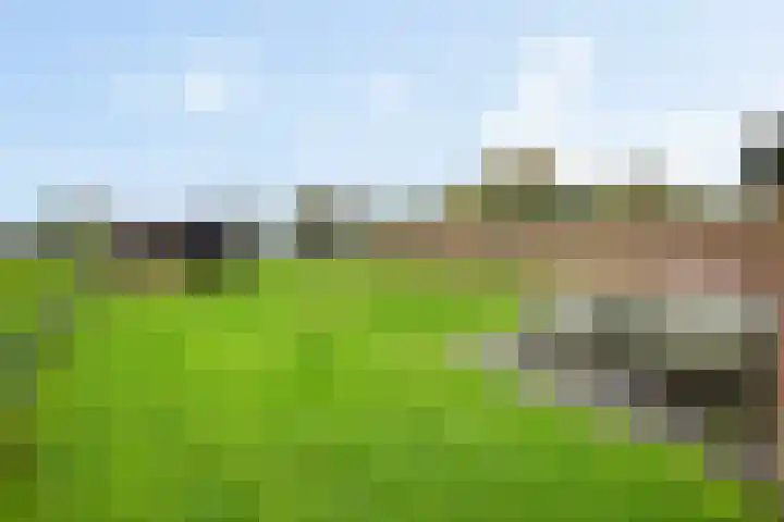 Brink 8 Tynaarlo thumbnail 38