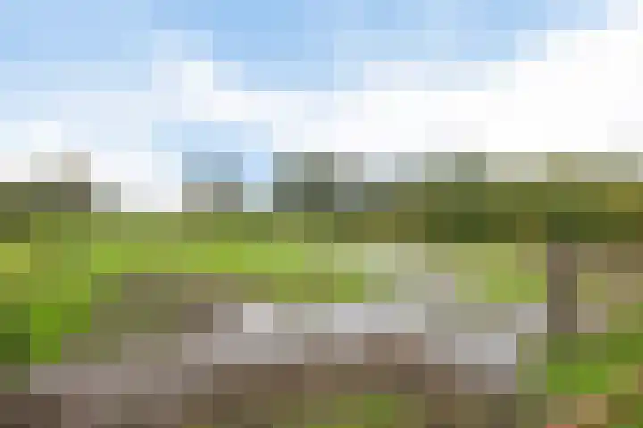 Brink 8 Tynaarlo thumbnail 39