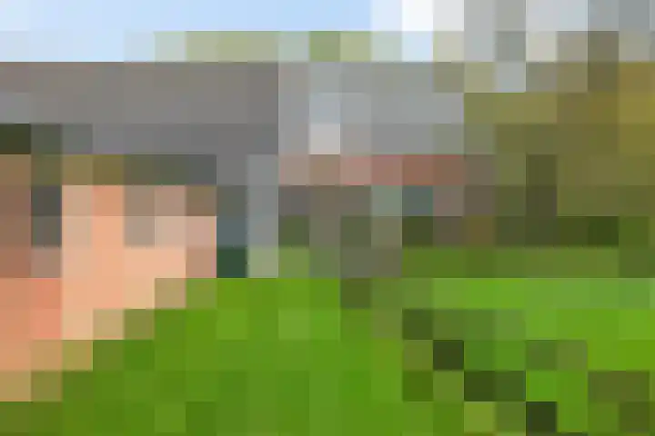 Brink 8 Tynaarlo thumbnail 40
