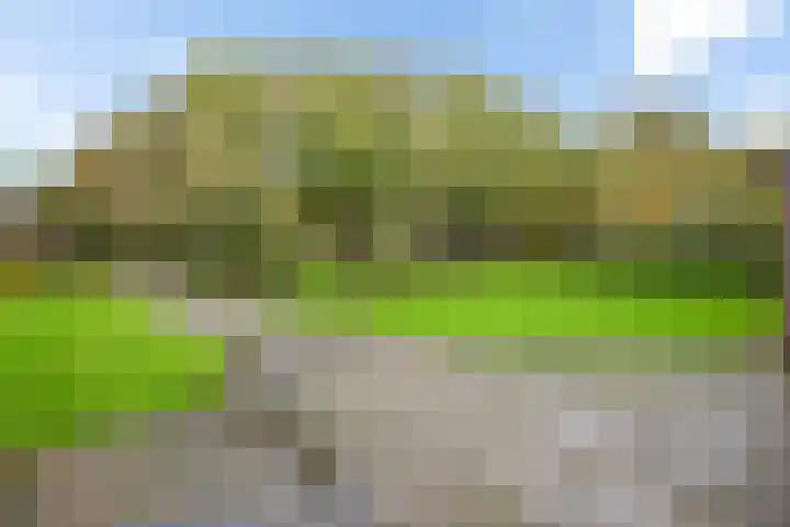 Brink 8 Tynaarlo thumbnail 42