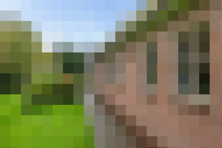 Brink 8 Tynaarlo thumbnail 43