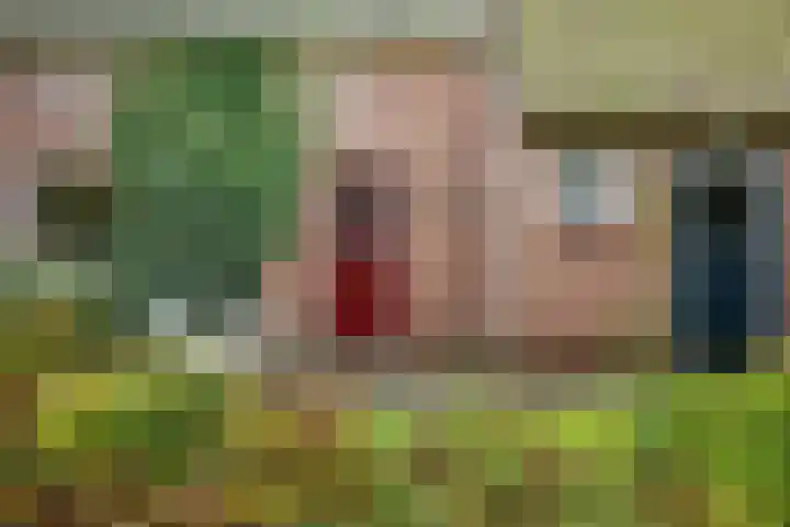 Brink 8 Tynaarlo thumbnail 44