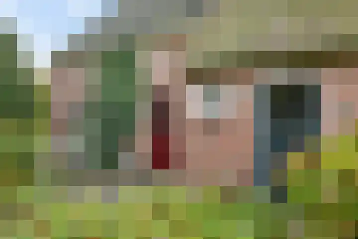 Brink 8 Tynaarlo thumbnail 45
