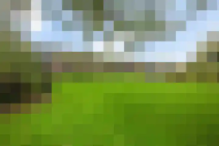Brink 8 Tynaarlo thumbnail 48