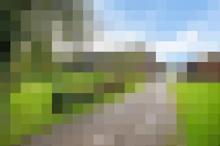 Brink 8 Tynaarlo thumbnail 49