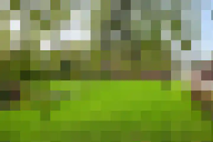 Brink 8 Tynaarlo thumbnail 50