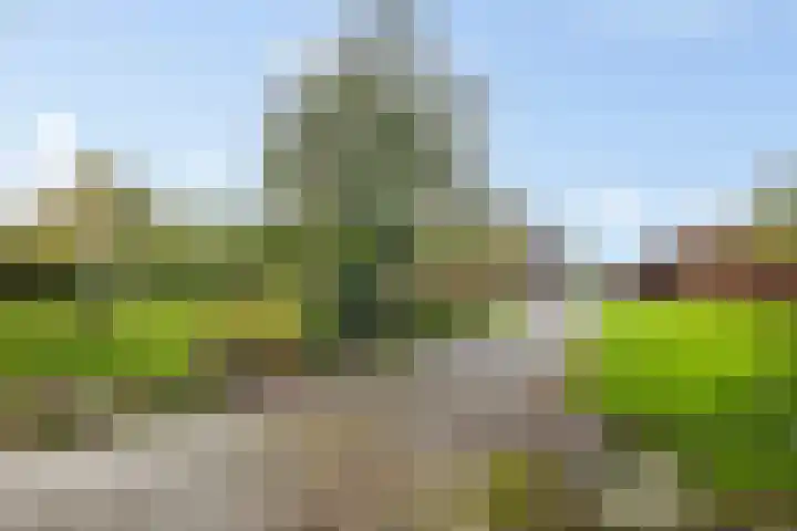 Brink 8 Tynaarlo thumbnail 51
