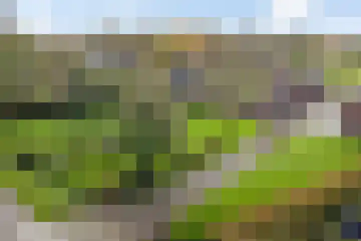 Brink 8 Tynaarlo thumbnail 52