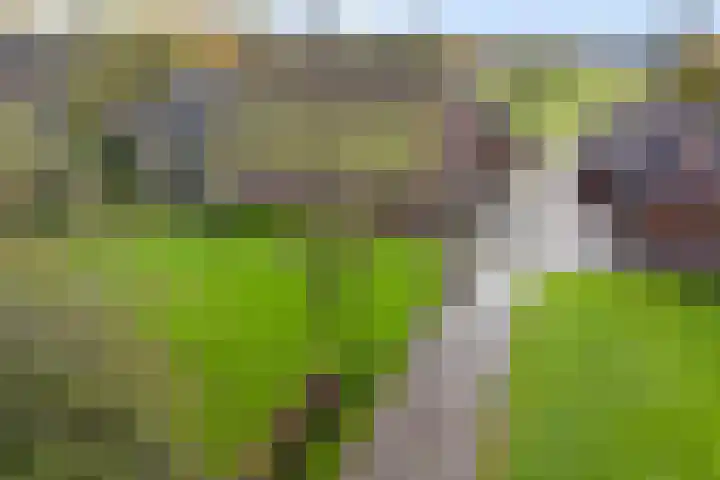 Brink 8 Tynaarlo thumbnail 53