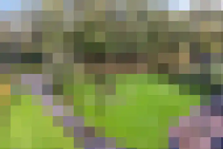 Brink 8 Tynaarlo thumbnail 54