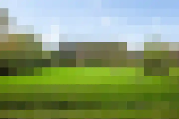 Brink 8 Tynaarlo thumbnail 55
