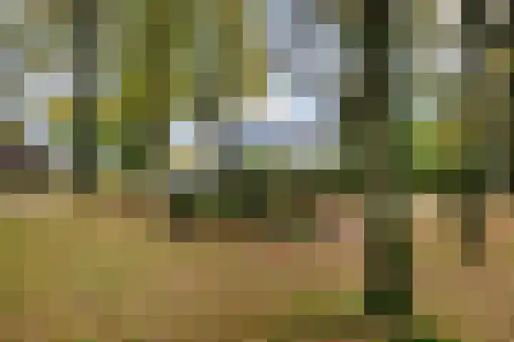 Brink 8 Tynaarlo thumbnail 57