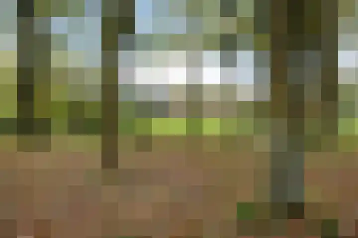 Brink 8 Tynaarlo thumbnail 58