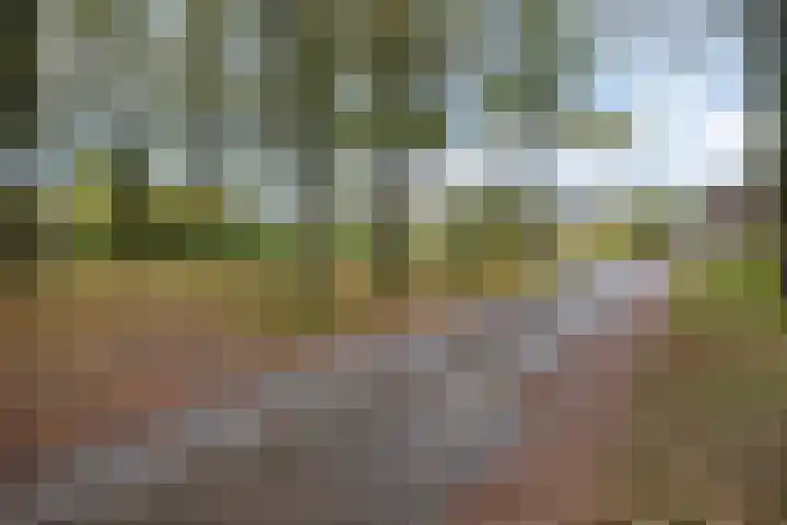 Brink 8 Tynaarlo thumbnail 60