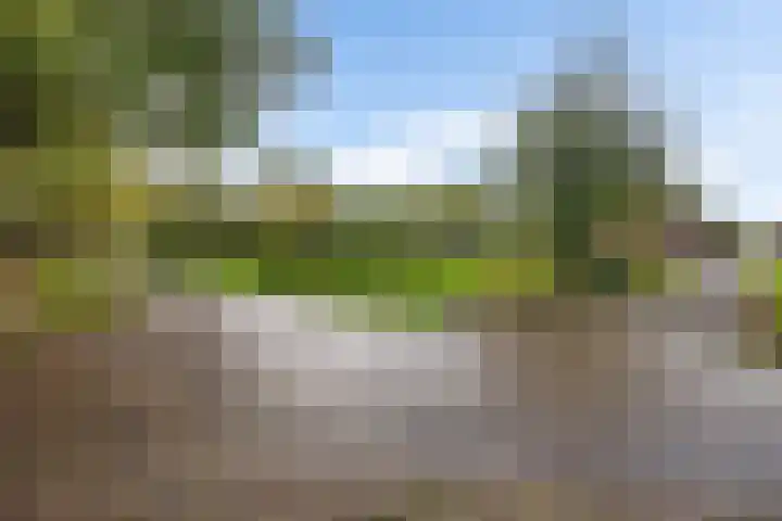 Brink 8 Tynaarlo thumbnail 61