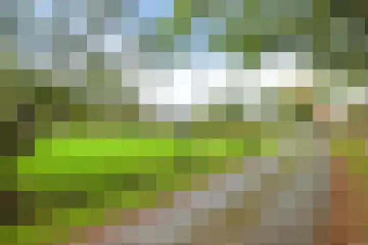 Brink 8 Tynaarlo thumbnail 62