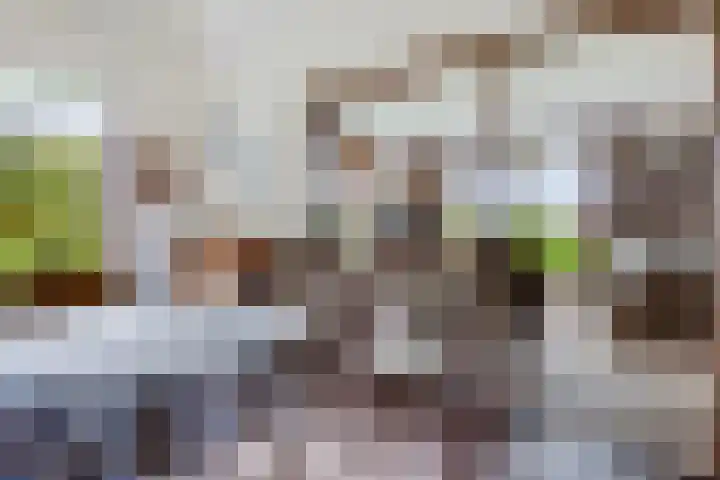 Brink 8 Tynaarlo thumbnail 9