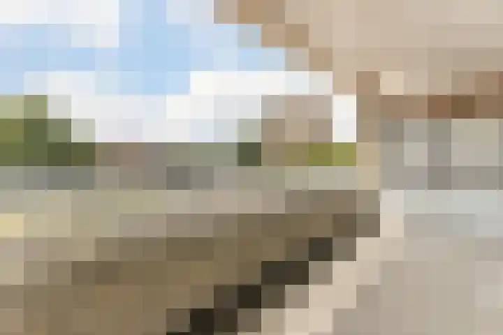 Brink 86 Amstelveen thumbnail 4