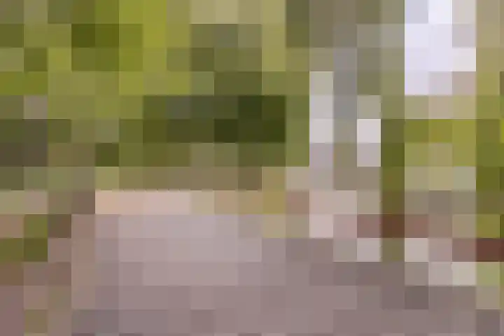 Brink 86 Amstelveen thumbnail 5