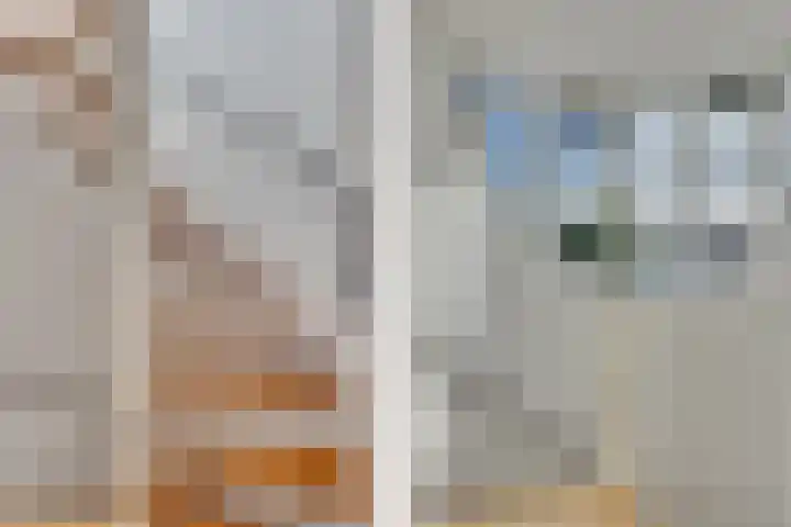 Brink 9 Roden thumbnail 12