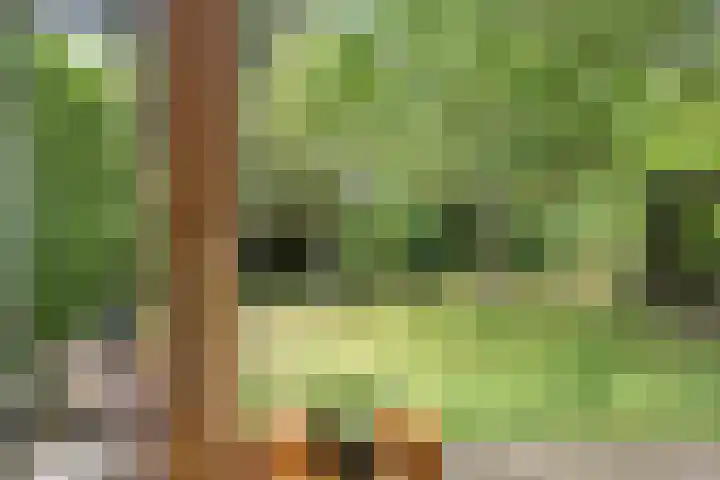 Brink 9 Roden thumbnail 15