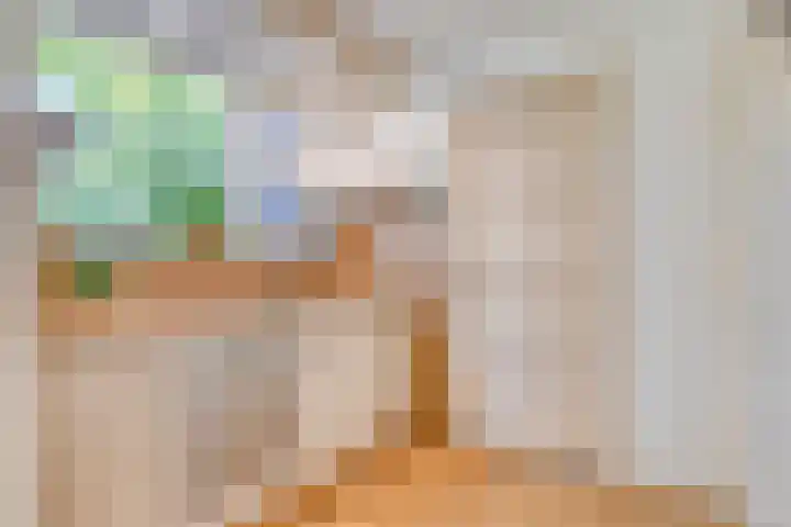 Brink 9 Roden thumbnail 17
