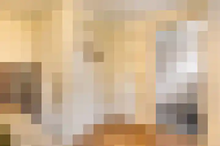 Brink 9 Roden thumbnail 19