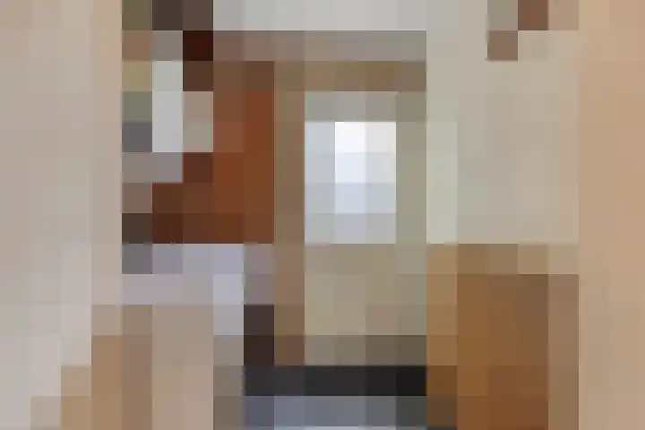 Brink 9 Roden thumbnail 22