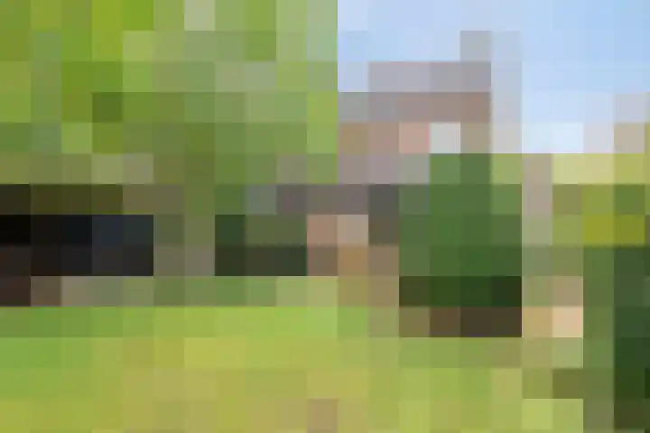Brink 9 Roden thumbnail 36
