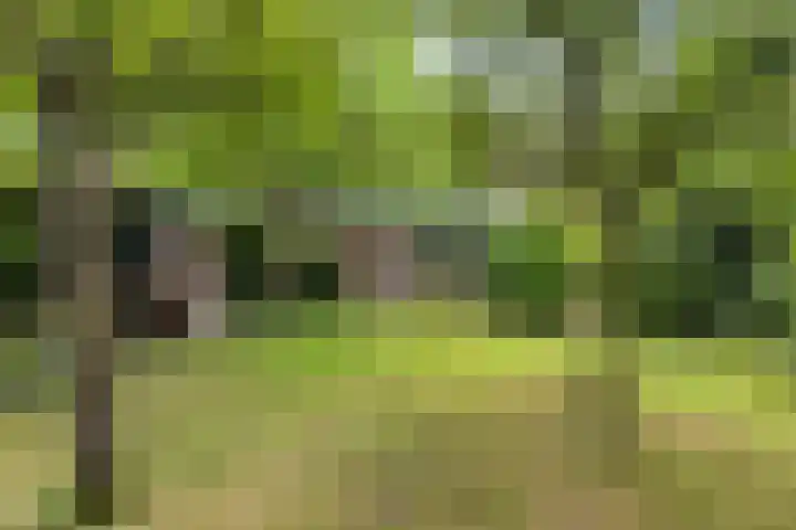 Brink 9 Roden thumbnail 38