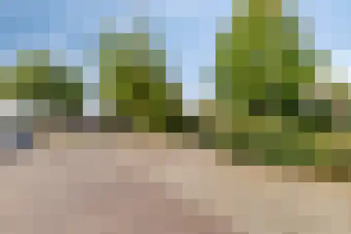 Brink 9 Roden thumbnail 56