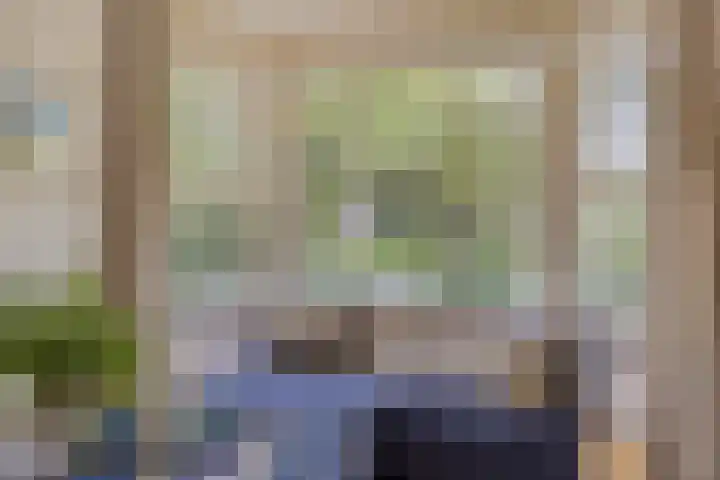 Brink 9 Roden thumbnail 7