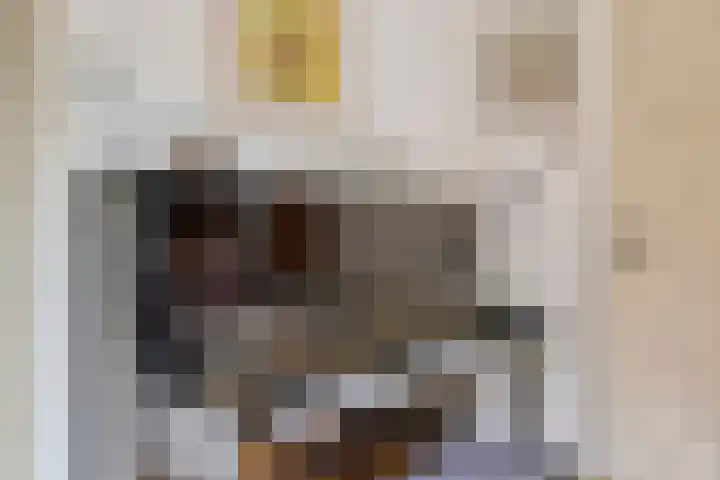 Brink 9 Roden thumbnail 9