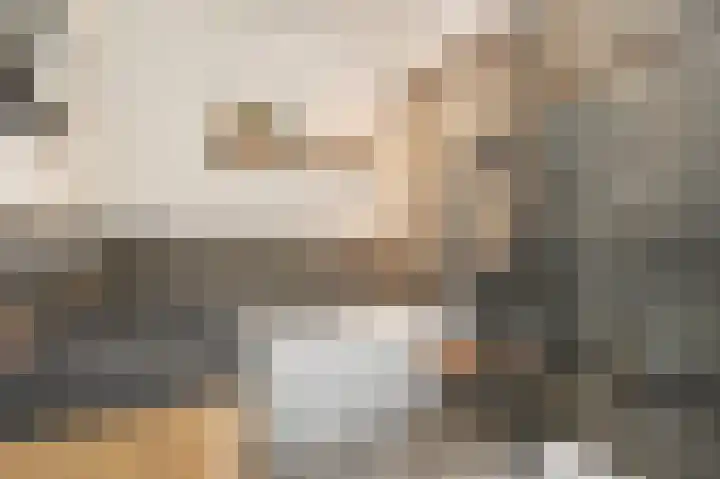 Brink van Kruimeltje 1 Pijnacker thumbnail 13