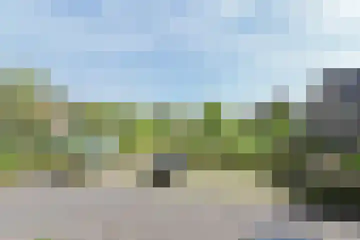 Brink van Kruimeltje 1 Pijnacker thumbnail 25