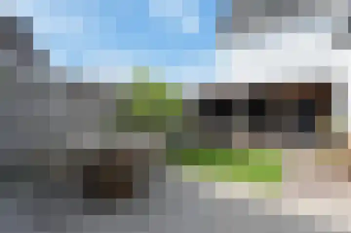 Brink van Kruimeltje 1 Pijnacker thumbnail 26