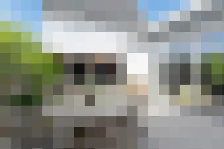 Brink van Kruimeltje 1 Pijnacker thumbnail 27