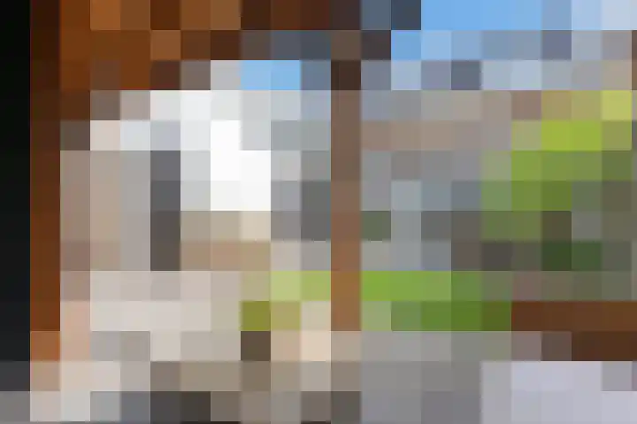 Brink van Kruimeltje 1 Pijnacker thumbnail 29