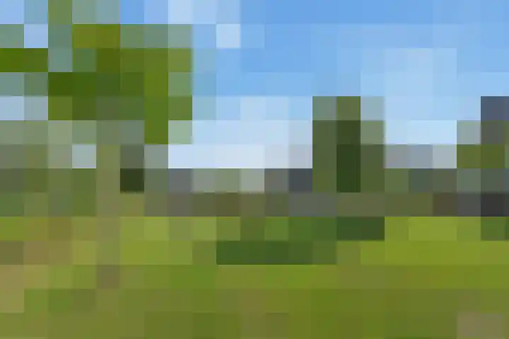 Brink van Kruimeltje 1 Pijnacker thumbnail 32