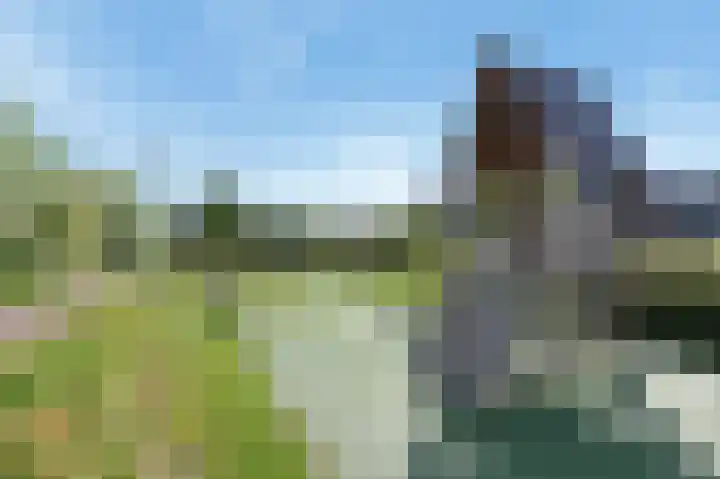 Brink van Kruimeltje 1 Pijnacker thumbnail 33